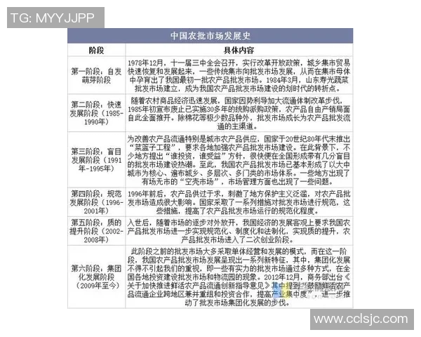 足球运动的国际化发展与市场竞争格局 足球运动的国际化发展与市场竞争格局