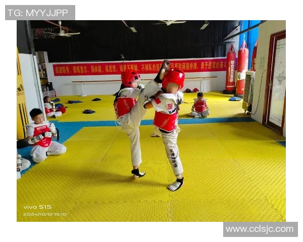 跆拳道文化与技艺传承的创新发展与全球推广之路探讨